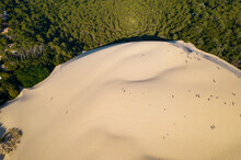 Color Contrast Between Green Vegetation And White Dunes Of Pilat At Arcachon With Tourists In Summer