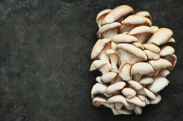 Wall Mural - Heap of edible pleurotus/oyster mushrooms harvest, fresh food ingredient from market