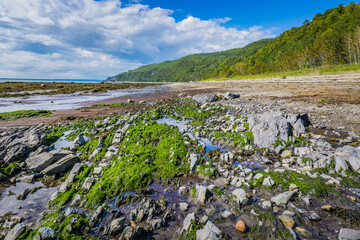 Wall Mural - View of a beach on a summer day at low tide on the St Lawrence river near Cap-Aux-Oies in Charlevoix region of Quebec, Canada