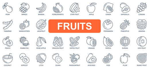 Poster - Fruits concept simple line icons set. Pack outline pictograms of mango, banana, pomegranate, apple, lemon, mangosteen, jackfruit, pineapple and other. Vector symbols for website and mobile app design