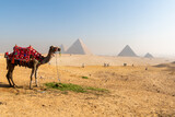 Fototapeta Londyn - View on Giza