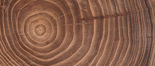 Concentric Brown Wooden Background With Annual Rings