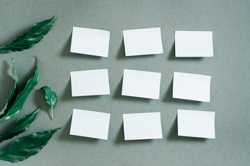 Wall Mural - Blank small sheets of paper are arranged in rows and fresh leaves on a green background. Green concept. Reminders, goals and wishes. Top view