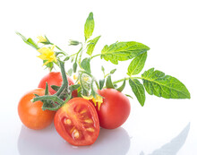 Young Beautiful Whole Cherry Tomatoes On A Branch And Sliced Cherry Tomatoes With Tomato Flowers And Young Beautiful Green Leaves Isolated On A White Background