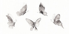 Set With Five Differents Forms Butterfly Pictures.  Hand Drawn China Ink On Paper Textures