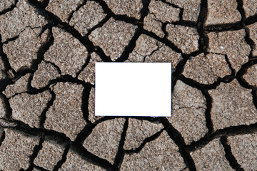 a white sheet of paper lies against the background of a barren, cracked patch of land