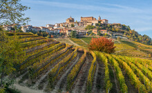 Beautiful Hills And Vineyards During Fall Season Surrounding La Morra Village. In The Langhe Region, Cuneo, Piedmont, Italy.