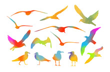 Set Of Multicolored Watercolor Sea Gulls. Vector Illustration