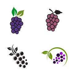 Canvas Print - Grape fruit icon set logo design