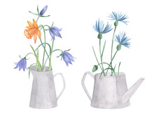 Watercolor Botanical Collection Wild Flowers In Watering Can And Jug. Hand Drawn Flowers, Campanulaceae, Herbs And Natural Elements. For Birthday, Wedding Card, Invitation, Greeting, Mother Day.