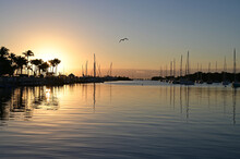 Sunrise At Dinner Key Marina In Coconut Grove, Miami, Florida. On Calm Cloudless Winter Morning.
