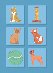 Poster - four pets and toys