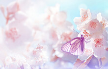 Spring Landscape. Natural Background With Butterfly On The Branch Of Blooming Jasmine.