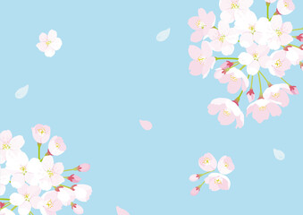 Sticker - 桜　背景イラスト