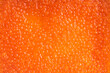 Red caviar trout or chum salmon healthy meal food snack on the table copy space food background rustic top view keto or paleo pescetarian diet
