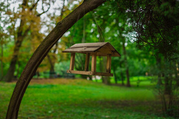 Wall Mural - bird feeder wooden material object hanging on a tree branch, spring day