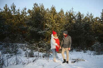 Wall Mural - happy loving couple walking in snowy winter forest, spending christmas vacation together. Outdoor seasonal activities. Lifestyle capture.