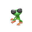 3D Illustration Frog Wearing Sunglasses Sitting
