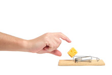 Hand Reaches For Piece Cheese In Mousetrap On A White Background.Concept Business, Life And Hard Work And Freebies.