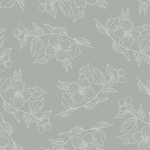 Jasmine Flowers Seamless Pattern. Botanical Delicate Background In Line Art Style. Spring Flowers On A Beige Background. Vector Illustration Of A Jasmine Flower And Branches With Leaves.