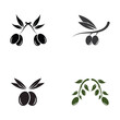 © Mujiyono - olive icon vector illustration design template