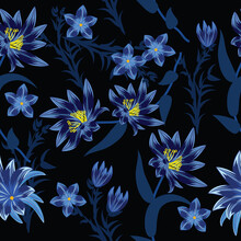 Seamless Pattern With Blue Flowers On Black Background.  Floral Decorative Illustration Vector