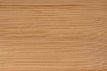 Wood Texture - Cedar Of Lebanon