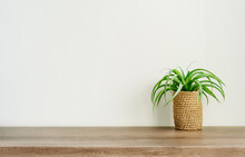 Jute Planter Flowerpot With Aloe On The Table On White Wall