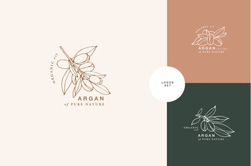 Vector illustration argan branch - vintage engraved style. Logo composition in retro botanical style.