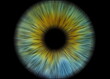 Conceptual creative photo of a male eye close-up macro pixel isolated on a black background.