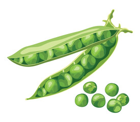 vector green pea beans