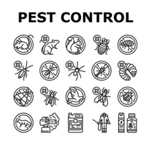 Pest Control Service Treatment Icons Set Vector. Woodworm And Spider, Ant And Rat, Mouse And Silverfish Pest Control With Professional Equipment Chemical Liquid Or Smoke Black Contour Illustrations