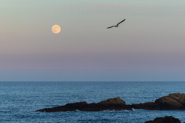 Wall Mural - Full moon on the coast of Galicia, with lighthouse, natural rock arches, etc!