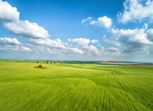 Aerial View Of Green Grassland And Wheat Field With Blue Sky And Clouds, Ruhama Badlands, Israel.