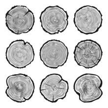 Round Tree Trunk Cuts With Cracks, Sawn Pine Or Oak Slices, Lumber. Saw Cut Timber, Wood. Wooden Texture With Tree Rings. Hand Drawn Sketch. Vector Illustration