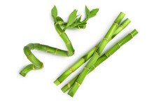 Green Bamboo Isolated On White Background With Clipping Path And Full Depth Of Field. Top View. Flat Lay