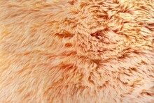 Orange Fur Texture Close-up Abstract Fur Background