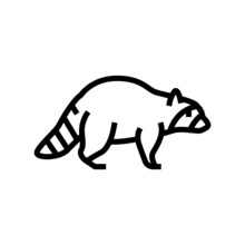 Raccoon Wild Animal Line Icon Vector. Raccoon Wild Animal Sign. Isolated Contour Symbol Black Illustration