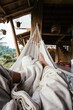 © Scopio - Cropped image of legs lying on hammock