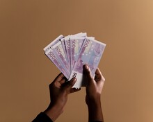 Person Holding Fan Of Five Hundred Euro Banknotes