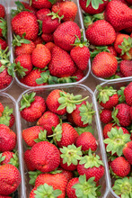 Red Strawberries In Clear Plastic Container
