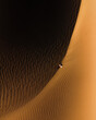 © Scopio - Top view of person standing on desert dune