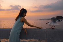 Beautiful Woman Hand Feeding Seagull During The Sunset. Seagull Evacuate The Cold From The Northern Hemisphere To Bangpu, Samutprakarn, Thailand During Winter On November To March.
