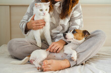 Caucasian Woman Holding A White Fluffy Cat And Jack Russell Terrier Dog While Sitting On The Bed. The Red-haired Girl Hugs With Pets.