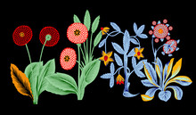 A Ethnic Brand Style ,hand Draw ,ethnic Flowers Pattern ,green ,blue Flowers ,pattern, Texture, Flowers Motif, Floral Embroidery Design On Black Background. Bird, Red Poppy And Yellow Lily Flowers.