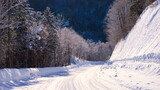 Fototapeta Na ścianę - 厳冬期の道東地方の白い雪道