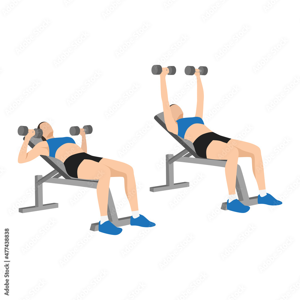 Woman doing Incline Dumbbell bench press exercise. Flat vector ...