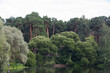 lake pond, white and Crack Brittle willows (salix alba and fragilis bullata), pine trees in back. Landscape panorama at  Serebryany Bor (Silver pinewood) forest park. Khoroshevskoye, Moscow, Russia