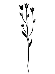 Wall Mural - Black herb. Vector clipart. Hand drawn