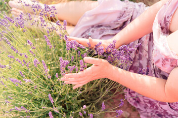 Canvas Print - Woman in a lavender field. Relaxation and aromatherapy in nature.